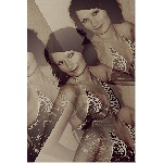 Nikola Chrom�kov�