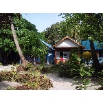 thajsko011043.jpg
Po�et zobrazen�: 1602 (6268.9001 dn�) pr.=0.2555
Rozm�r: 600 x 449 pixel
Velikost: 328.069 kB